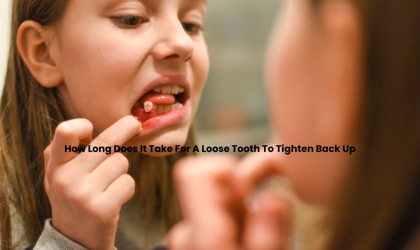 How Long Does It Take For A Loose Tooth To Tighten Back Up?